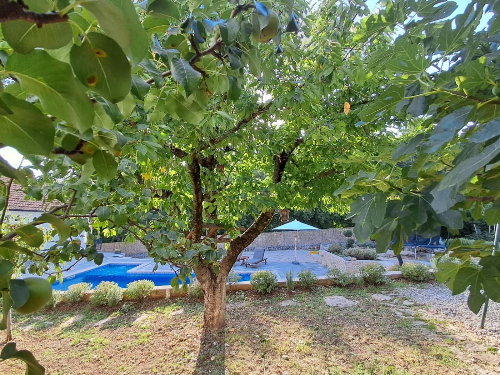 Holiday Home Tone, Makarska - Drum Εξωτερικό φωτογραφία